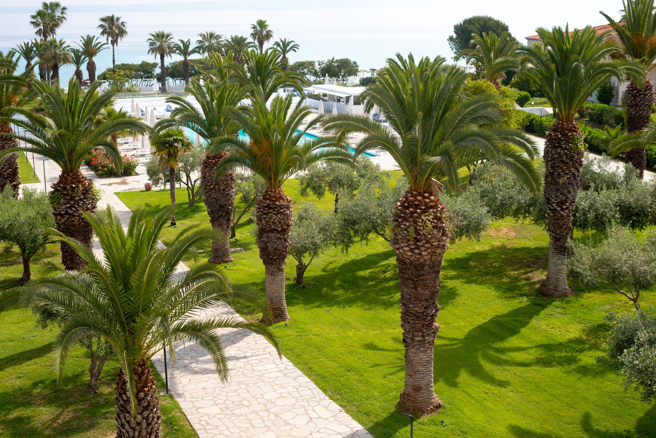 Kassandra Palace Seaside Resort Kriopigi Eksteriør billede